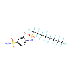 NS(=O)(=O)c1ccc(NS(=O)(=O)C(F)(F)C(F)(F)C(F)(F)C(F)(F)C(F)(F)C(F)(F)C(F)(F)C(F)(F)F)c(Br)c1 ZINC000095550660