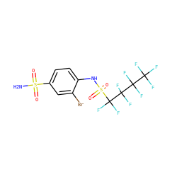 NS(=O)(=O)c1ccc(NS(=O)(=O)C(F)(F)C(F)(F)C(F)(F)C(F)(F)F)c(Br)c1 ZINC000034718099