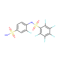 NS(=O)(=O)c1ccc(NS(=O)(=O)c2c(F)c(F)c(F)c(F)c2F)c(F)c1 ZINC000013835298