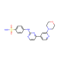 NS(=O)(=O)c1ccc(Nc2nccc(-c3ccnc(N4CCOCC4)c3)n2)cc1 ZINC000095574921