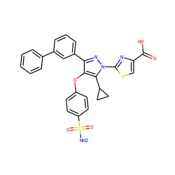 NS(=O)(=O)c1ccc(Oc2c(-c3cccc(-c4ccccc4)c3)nn(-c3nc(C(=O)O)cs3)c2C2CC2)cc1 ZINC001772615513