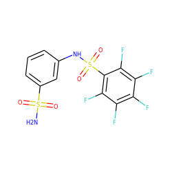 NS(=O)(=O)c1cccc(NS(=O)(=O)c2c(F)c(F)c(F)c(F)c2F)c1 ZINC000013835293