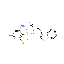 Nc1cc(Cl)cc(Cl)c1S(=O)(=O)N[C@H](Cc1c[nH]c2ccccc12)C(F)(F)F ZINC000043195549