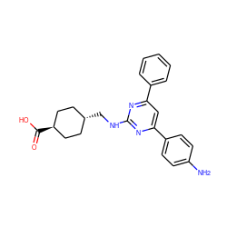 Nc1ccc(-c2cc(-c3ccccc3)nc(NC[C@H]3CC[C@H](C(=O)O)CC3)n2)cc1 ZINC000299821724