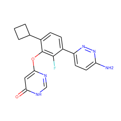 Nc1ccc(-c2ccc(C3CCC3)c(Oc3cc(=O)[nH]cn3)c2F)nn1 ZINC000224547400
