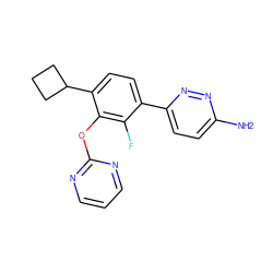 Nc1ccc(-c2ccc(C3CCC3)c(Oc3ncccn3)c2F)nn1 ZINC000224553562
