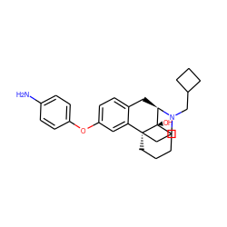 Nc1ccc(Oc2ccc3c(c2)[C@@]24CCCC[C@@]2(O)[C@@H](C3)N(CC2CCC2)CC4)cc1 ZINC000040976681