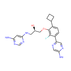 Nc1cnc(-c2ccc(C3CCC3)c(OC[C@H](O)CNc3cc(N)ncn3)c2F)cn1 ZINC000224565317
