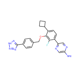 Nc1cnc(-c2ccc(C3CCC3)c(OCc3ccc(-c4nn[nH]n4)cc3)c2F)cn1 ZINC000212175014