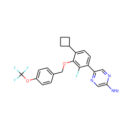 Nc1cnc(-c2ccc(C3CCC3)c(OCc3ccc(OC(F)(F)F)cc3)c2F)cn1 ZINC000212169097