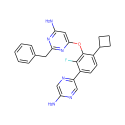 Nc1cnc(-c2ccc(C3CCC3)c(Oc3cc(N)nc(Cc4ccccc4)n3)c2F)cn1 ZINC000216875569