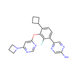 Nc1cnc(-c2ccc(C3CCC3)c(Oc3cc(N4CCC4)ncn3)c2F)cn1 ZINC000224558528