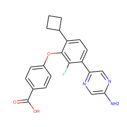 Nc1cnc(-c2ccc(C3CCC3)c(Oc3ccc(C(=O)O)cc3)c2F)cn1 ZINC000212159332
