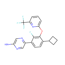 Nc1cnc(-c2ccc(C3CCC3)c(Oc3cccc(C(F)(F)F)n3)c2F)cn1 ZINC000224568468