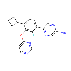 Nc1cnc(-c2ccc(C3CCC3)c(Oc3ccncn3)c2F)cn1 ZINC000224547025