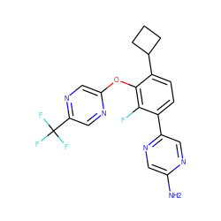 Nc1cnc(-c2ccc(C3CCC3)c(Oc3cnc(C(F)(F)F)cn3)c2F)cn1 ZINC000224567975