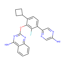 Nc1cnc(-c2ccc(C3CCC3)c(Oc3nc(N)c4ccccc4n3)c2F)cn1 ZINC000224569476