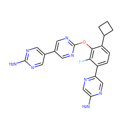 Nc1cnc(-c2ccc(C3CCC3)c(Oc3ncc(-c4cnc(N)nc4)cn3)c2F)cn1 ZINC000224557489