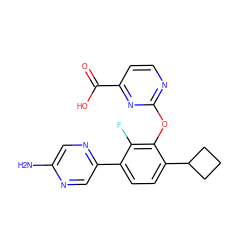 Nc1cnc(-c2ccc(C3CCC3)c(Oc3nccc(C(=O)O)n3)c2F)cn1 ZINC000224555890