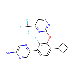 Nc1cnc(-c2ccc(C3CCC3)c(Oc3nccc(C(F)(F)F)n3)c2F)cn1 ZINC000224586867