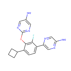 Nc1cnc(Oc2c(C3CCC3)ccc(-c3cnc(N)cn3)c2F)nc1 ZINC000212150184