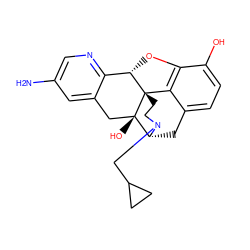 Nc1cnc2c(c1)C[C@@]1(O)[C@H]3Cc4ccc(O)c5c4[C@@]1(CCN3CC1CC1)[C@H]2O5 ZINC000013487524