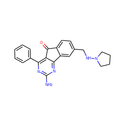 Nc1nc(-c2ccccc2)c2c(n1)-c1cc(CNN3CCCC3)ccc1C2=O ZINC000049048118