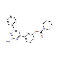 Nc1nc(-c2ccccc2)cc(-c2cccc(OC(=O)N3CCCCC3)c2)n1 ZINC000653762874