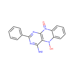 Nc1nc(-c2ccccc2)nc2c1n(O)c1ccccc1[n+]2=O ZINC000377836314