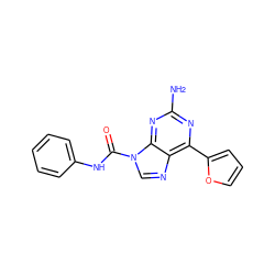 Nc1nc(-c2ccco2)c2ncn(C(=O)Nc3ccccc3)c2n1 ZINC000029047893