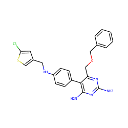 Nc1nc(N)c(-c2ccc(NCc3csc(Cl)c3)cc2)c(COCc2ccccc2)n1 ZINC000013686009