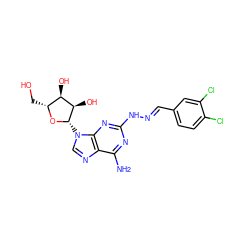 Nc1nc(N/N=C/c2ccc(Cl)c(Cl)c2)nc2c1ncn2[C@@H]1O[C@H](CO)[C@@H](O)[C@H]1O ZINC000095585570