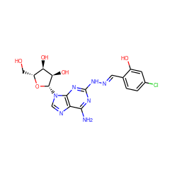 Nc1nc(N/N=C/c2ccc(Cl)cc2O)nc2c1ncn2[C@@H]1O[C@H](CO)[C@@H](O)[C@H]1O ZINC000095582844