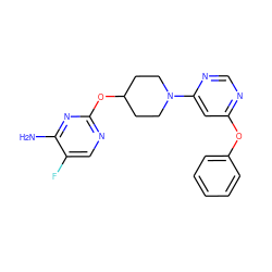 Nc1nc(OC2CCN(c3cc(Oc4ccccc4)ncn3)CC2)ncc1F ZINC000049793154