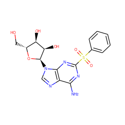 Nc1nc(S(=O)(=O)c2ccccc2)nc2c1ncn2[C@H]1O[C@H](CO)[C@@H](O)[C@H]1O ZINC000048998109