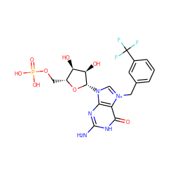 Nc1nc2c(c(=O)[nH]1)[n+](Cc1cccc(C(F)(F)F)c1)cn2[C@@H]1O[C@H](COP(=O)(O)O)[C@@H](O)[C@H]1O ZINC000049784742