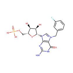 Nc1nc2c(c(=O)[nH]1)[n+](Cc1cccc(F)c1)cn2[C@@H]1O[C@H](COP(=O)(O)O)[C@@H](O)[C@H]1O ZINC000049089074