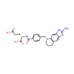 Nc1nc2cc3c(cc2[nH]1)N(Cc1ccc(C(=O)N[C@@H](CCC(=O)O)C(=O)O)cc1)CCC3 ZINC000013451105