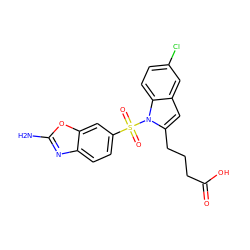 Nc1nc2ccc(S(=O)(=O)n3c(CCCC(=O)O)cc4cc(Cl)ccc43)cc2o1 ZINC000204906888