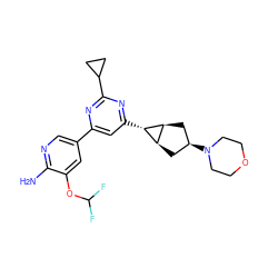 Nc1ncc(-c2cc([C@@H]3[C@H]4C[C@@H](N5CCOCC5)C[C@H]43)nc(C3CC3)n2)cc1OC(F)F ZINC000653775779