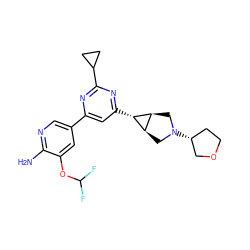 Nc1ncc(-c2cc([C@@H]3[C@H]4CN([C@@H]5CCOC5)C[C@H]43)nc(C3CC3)n2)cc1OC(F)F ZINC000653762255