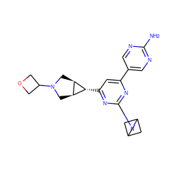 Nc1ncc(-c2cc([C@@H]3[C@H]4CN(C5COC5)C[C@H]43)nc(N3CC4CC3C4)n2)cn1 ZINC000653764975