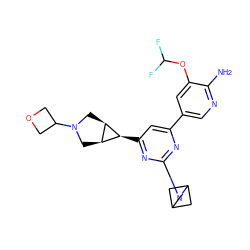 Nc1ncc(-c2cc([C@H]3[C@H]4CN(C5COC5)C[C@H]43)nc(N3CC4CC3C4)n2)cc1OC(F)F ZINC000653668783