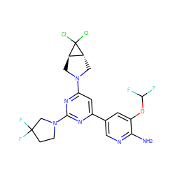 Nc1ncc(-c2cc(N3C[C@@H]4[C@@H](C3)C4(Cl)Cl)nc(N3CCC(F)(F)C3)n2)cc1OC(F)F ZINC000653686467