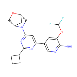 Nc1ncc(-c2cc(N3C[C@@H]4C[C@H]3CO4)nc(C3CCC3)n2)cc1OC(F)F ZINC000653667568