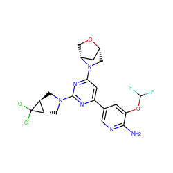 Nc1ncc(-c2cc(N3C[C@@H]4C[C@H]3CO4)nc(N3C[C@H]4[C@H](C3)C4(Cl)Cl)n2)cc1OC(F)F ZINC000653754863