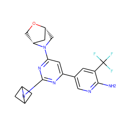 Nc1ncc(-c2cc(N3C[C@@H]4C[C@H]3CO4)nc(N3CC4CC3C4)n2)cc1C(F)(F)F ZINC000221257580