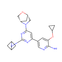 Nc1ncc(-c2cc(N3C[C@@H]4C[C@H]3CO4)nc(N3CC4CC3C4)n2)cc1OC1CC1 ZINC000653765568