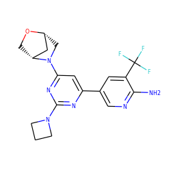 Nc1ncc(-c2cc(N3C[C@@H]4C[C@H]3CO4)nc(N3CCC3)n2)cc1C(F)(F)F ZINC000653680454