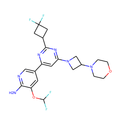 Nc1ncc(-c2cc(N3CC(N4CCOCC4)C3)nc(C3CC(F)(F)C3)n2)cc1OC(F)F ZINC000653756214